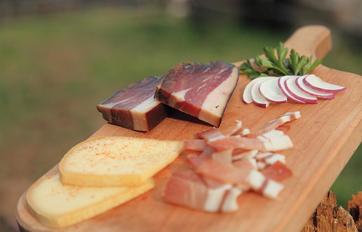 Holzbrett mit kaltem Aufschnitt aus Speck, Käse und Radieschen