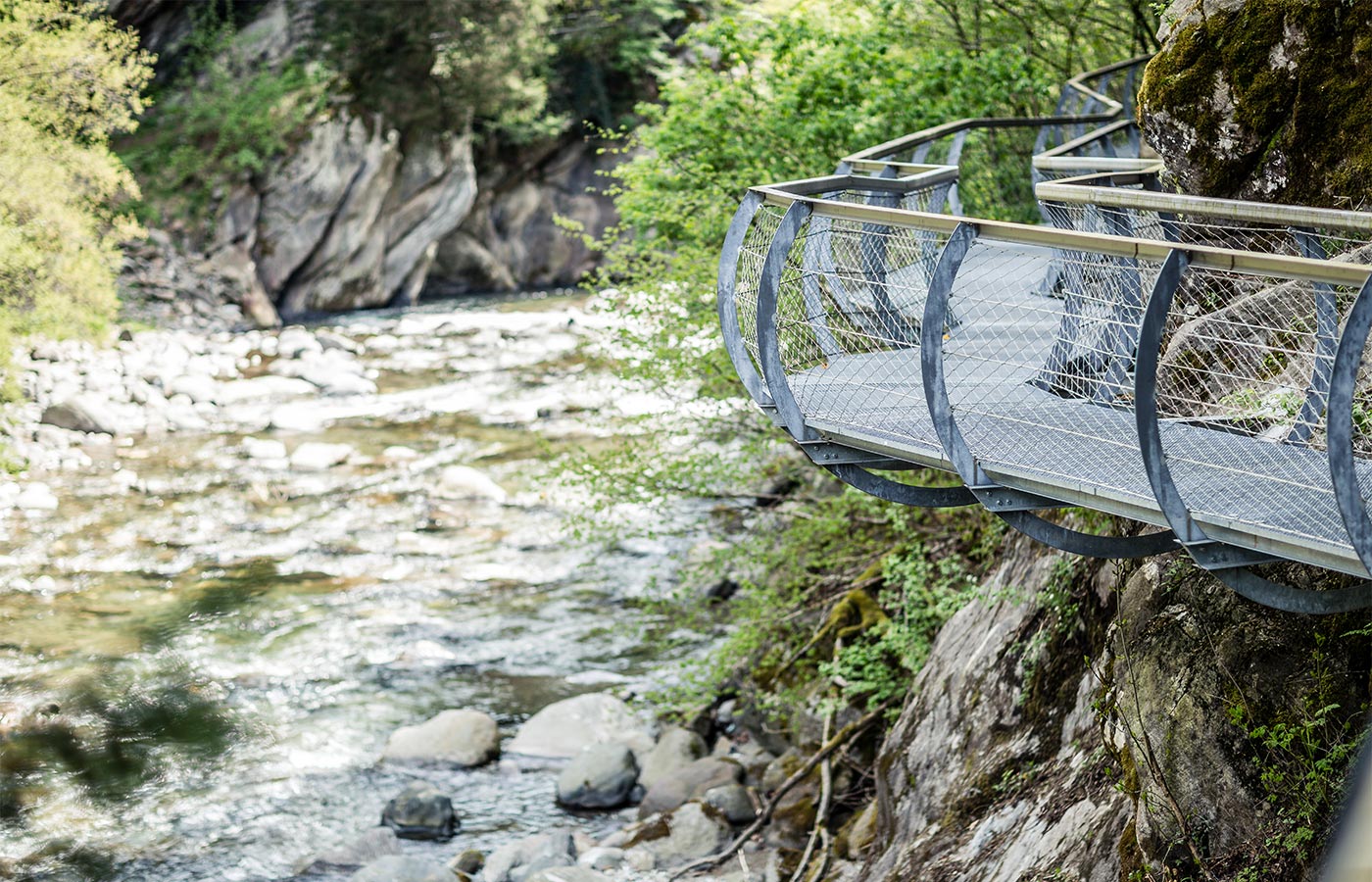 Scorcio di un passaggio nella natura