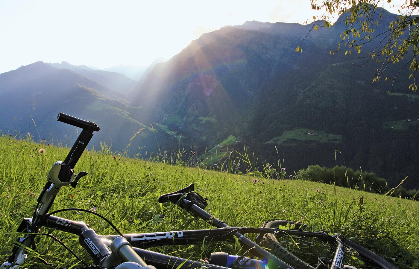 Fahrrad auf einer grünen Wiese